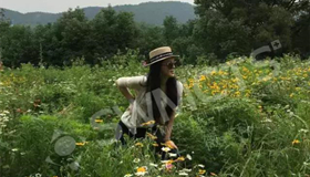 瑞士微科苏女士客户案例分享