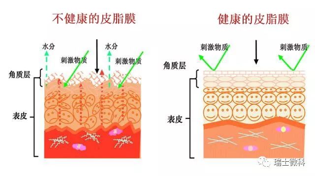 微科皮肤机能提升
