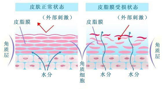 在季节更换的时候,由于气候转换、温差悬殊大