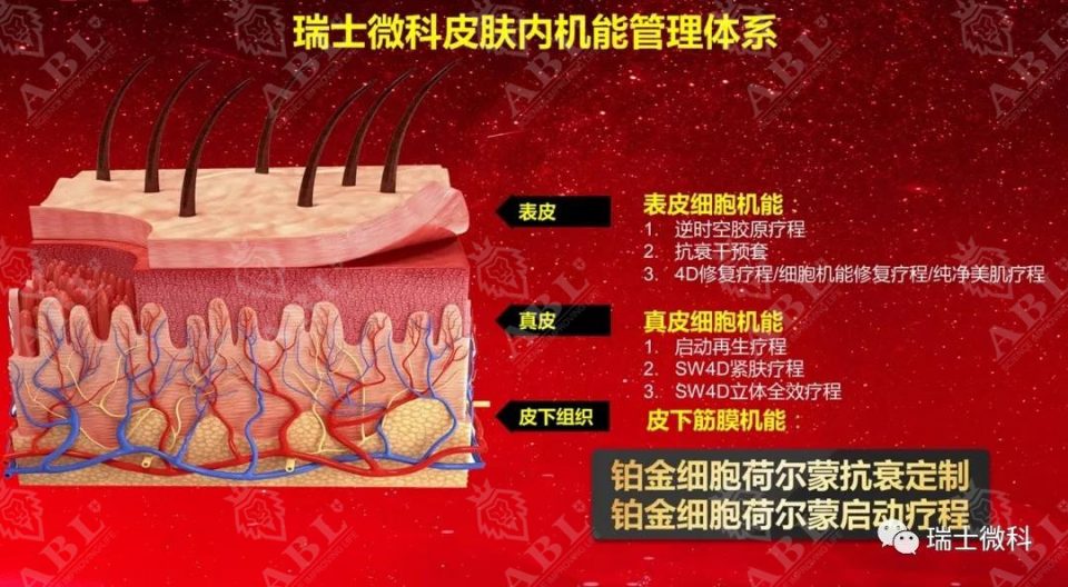 瑞士微科皮肤内机能管理体系